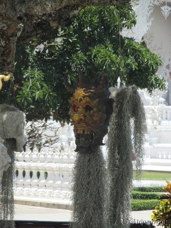 Another demon head in the trees