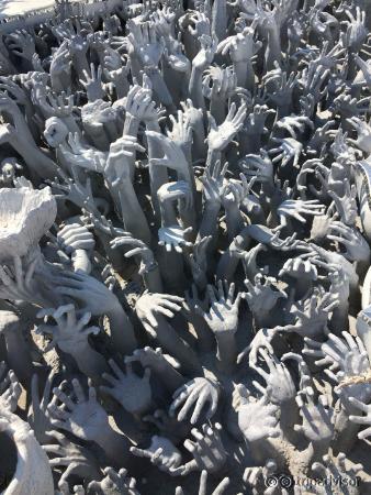 sea of hands