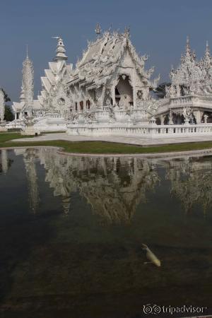 Wat Rong Khun