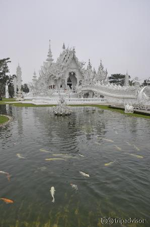 Spectacular temple view, Wat Rong Khun