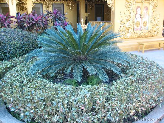 Wat Rong Khun - manicured gardens