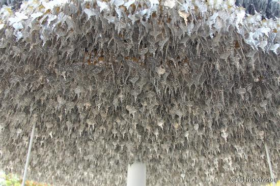 Disks bought and adorned with a message.