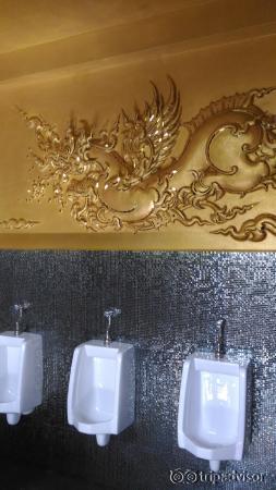 Never seen a toilet so unique before