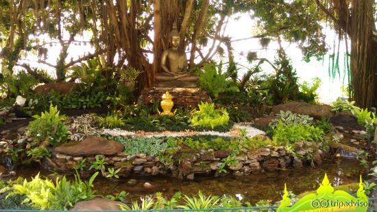 Serene place to meditate