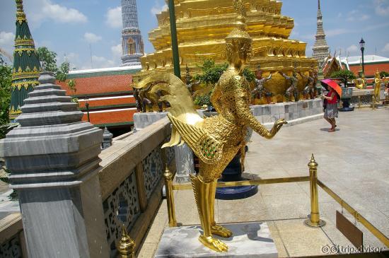 よく写真にでているやつ