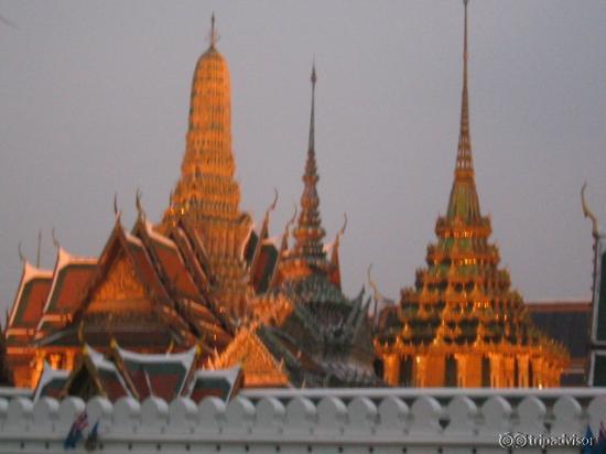 夕方で少しぶれています。