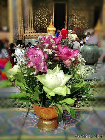 บูชาพระแก้วมรกตด้วยพานพุ่มที่เจ้าหน้าที่จัดเตรียมไว้ (ร่วมบุญตามขนาดพานค่ะ)