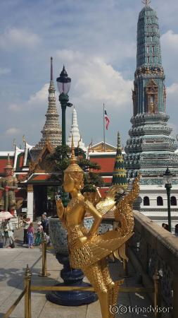 Detalhes do complexo