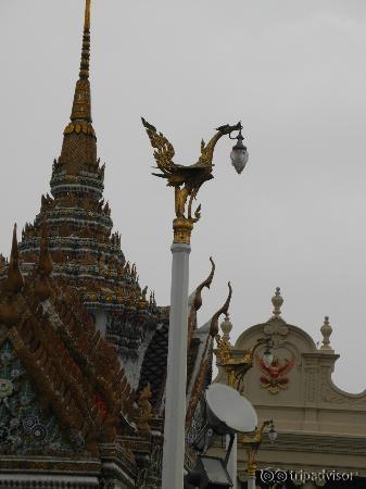 cute little dragon lights