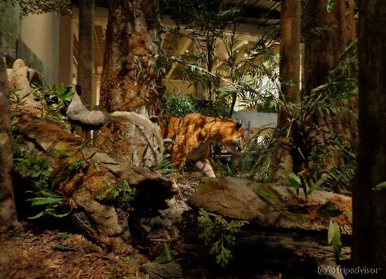 a recreated jungle from long ago