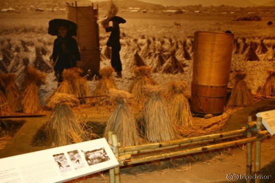 นิทรรศการ