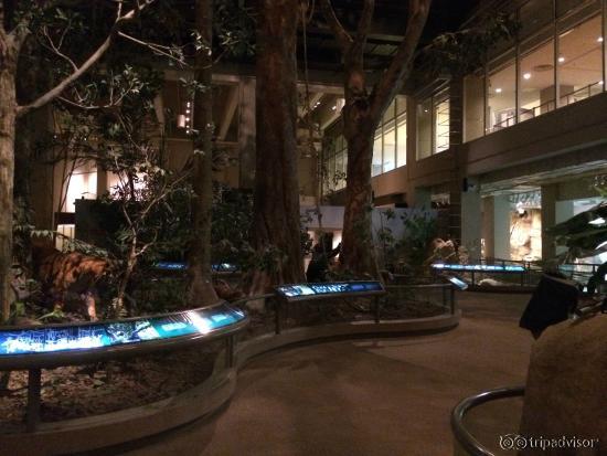 ยุคก่อนประวัติศาสตร์ในฮ่องกง