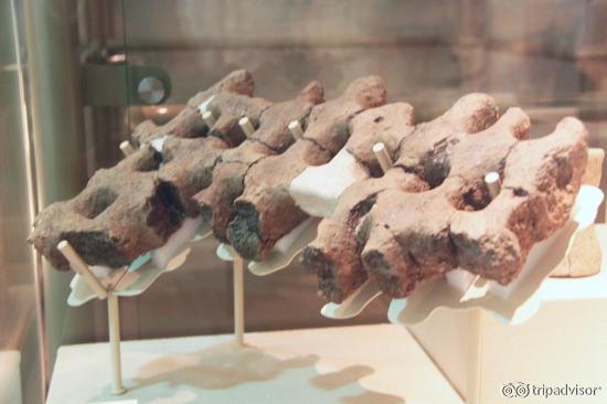 Neolithic fire grate - I never saw anything else like it anywhere