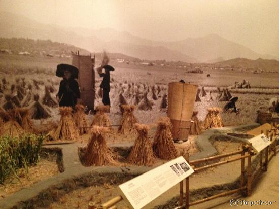 Historical harvest display