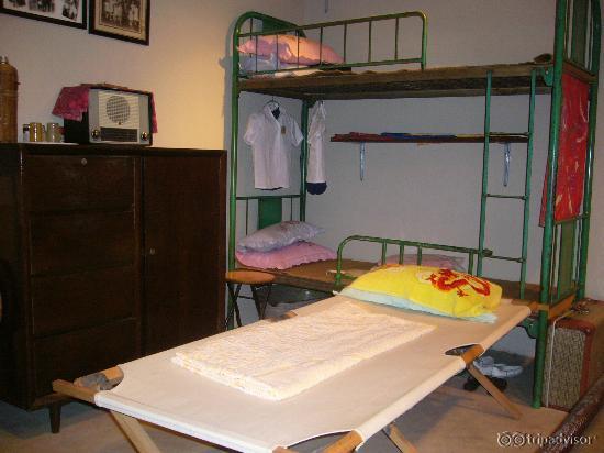 history museum exhibit