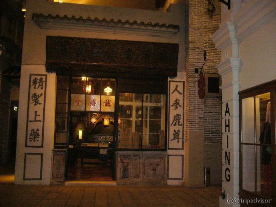 history museum exhibit -  ancient house