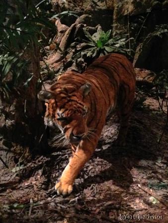 Hong Kong Museum of History