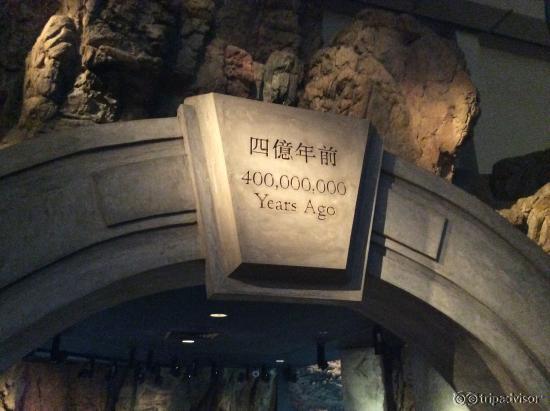 O Começo da história!!!