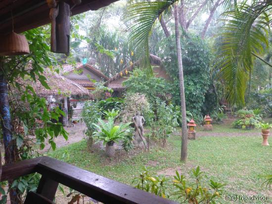 Blick von unserer Terrasse