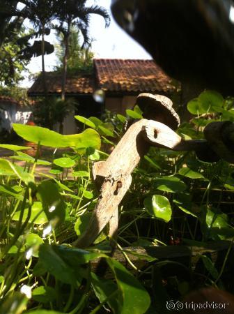 lots of little details to be discovered in the garden