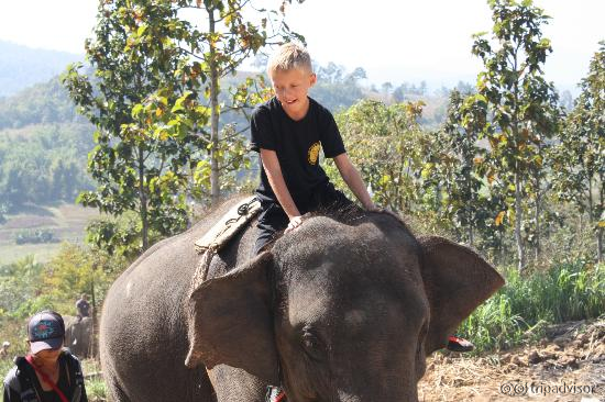 Eddy's Elephant Care