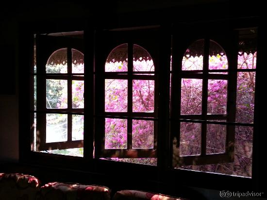 Beautiful gardens everywhere