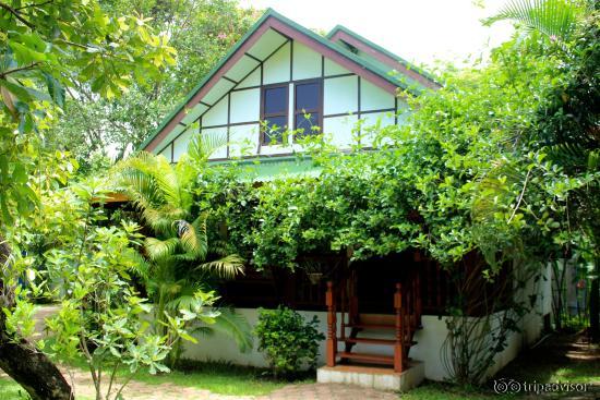 Unser Bungalow "Hummingbird"