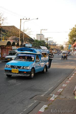 This is what public transport looks like. To get to Chang Mai, you'll take the white ones.