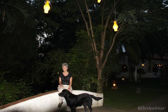 It was so lovely at dusk and night with all of the lanterns throughout the property