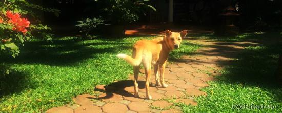 Lili.. Such a cutie.. :)