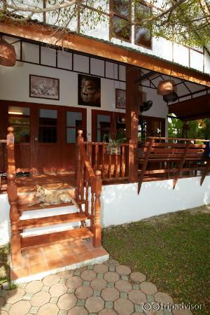 Lily the Guard Dog (she's just waiting for the children)