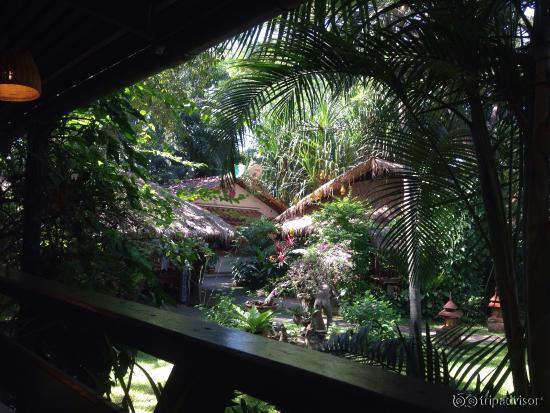 View of the garden near our bungalow and the delightful gazebo where meals are prepared/served
