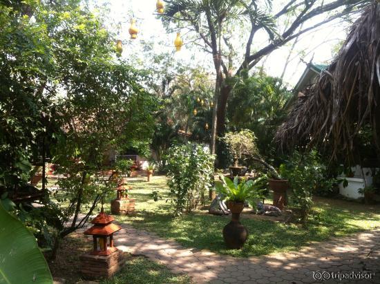 the garden during daytime - the tree lanterns are lit at night