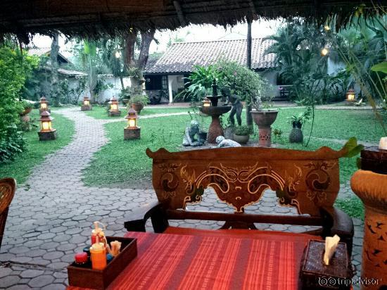 View out at the garden from inside the main dining area. They played great music every night too