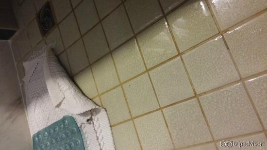 潮湿的地垫，我一直搞不明白为什么有这种垫子，而且还有两个，原来是知道地面会湿，却一直不纠正