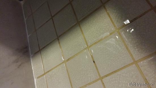 湿漉漉的地面，无法下脚