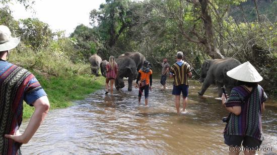 Elephant Jungle Santuary day trip