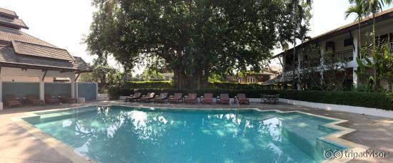 Pool and beautiful tree