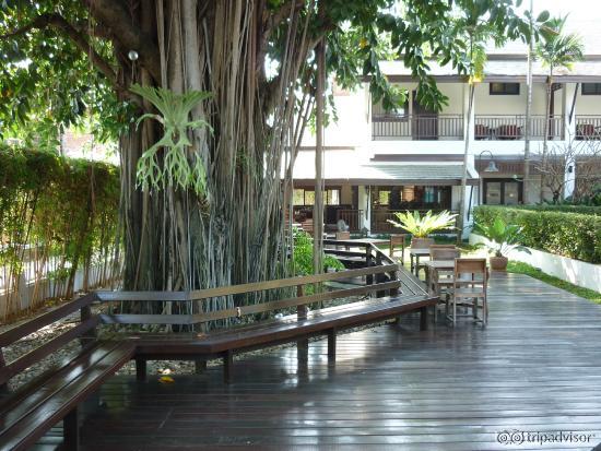 Vista zona colazione all'aperto