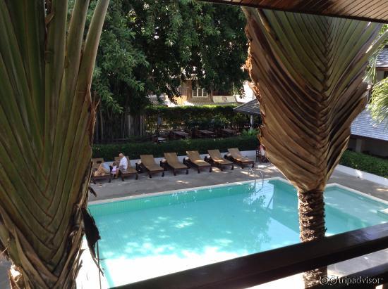 View from the Second Floor.