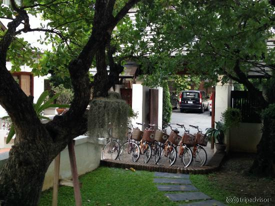 Cycles.. free of cost