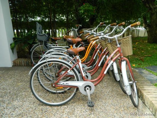 Bicycles for free use