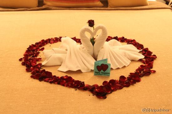 Honeymoon Swans on Bed