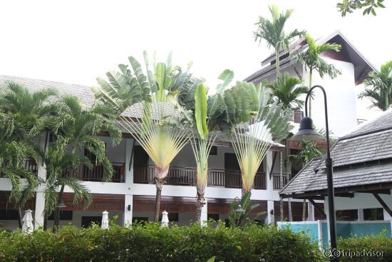 View from Dining Area