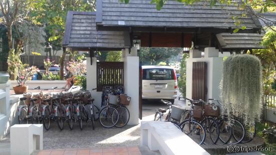 The Rimping bikes. Free to use.