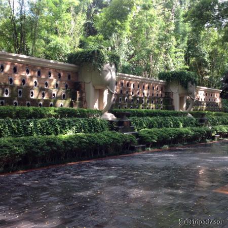 Taken by krishna adithya