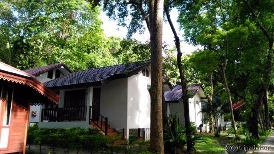 вид на домик