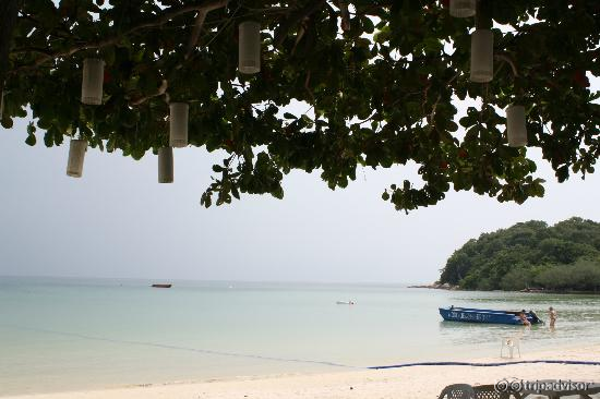 вид из ресторана отеля