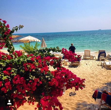 вид из номера