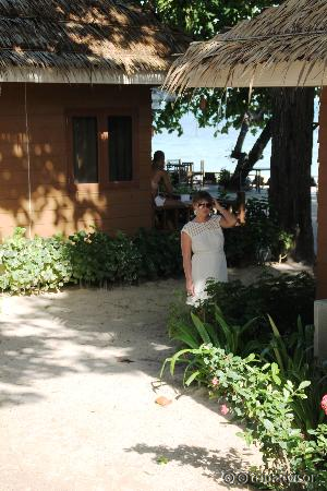 вид из номера